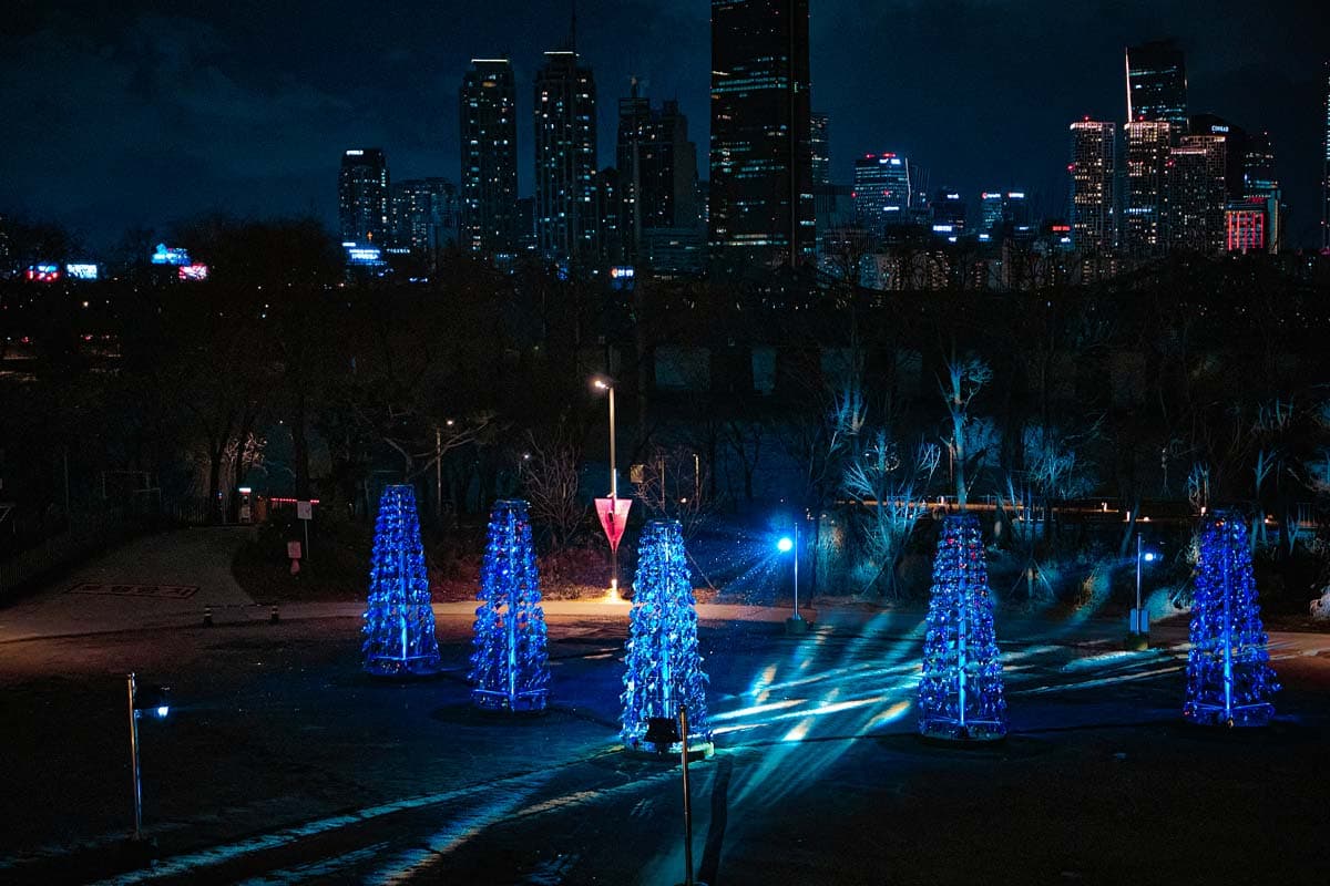 Moving City 2024 : The forest of stars